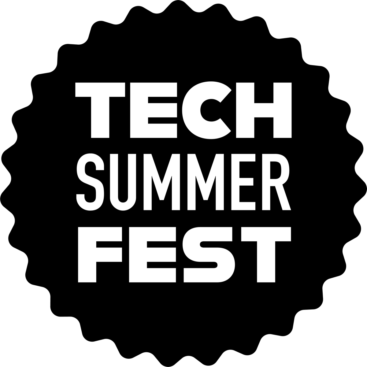 Tech Summer Fest